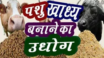 पशु आहार बनाने की विधि | खल बनाने की मशीन की कीमत | पशु खाद्य व्यवसाय