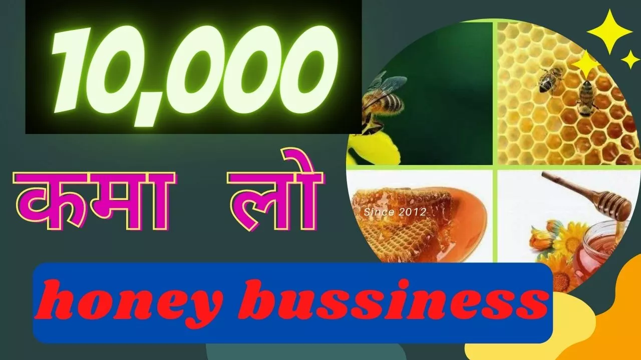 honey business india | honey business plan