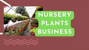 nursery business plan | how to start nursery business